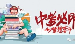 秦锋爆料价格最新消息,价格动态揭秘，市场走势一览无余