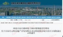 化工区最新爆料,揭秘行业变革与未来趋势